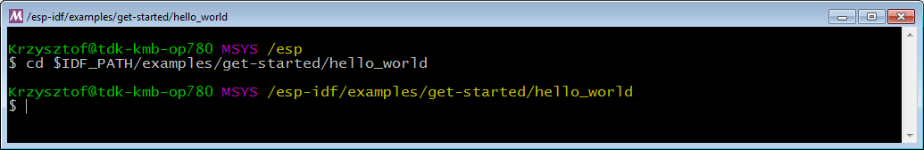 MSYS2 terminal window